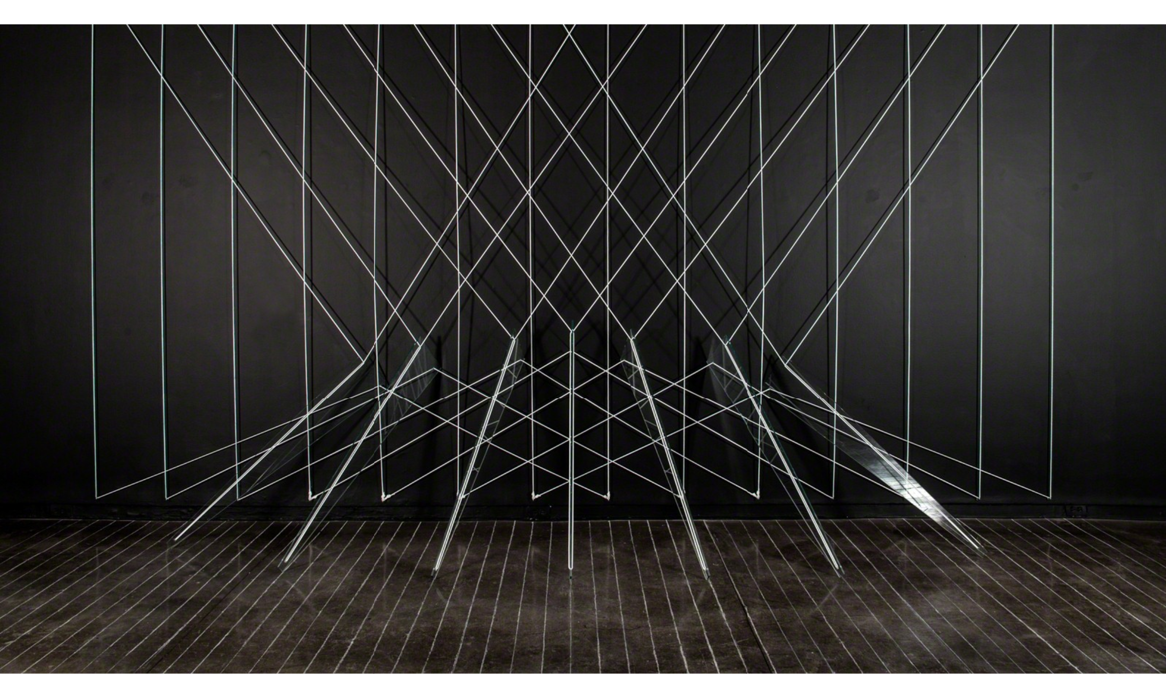 Lydia Okumura. «Frente a la luz»