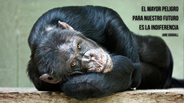 Añadir un título-2