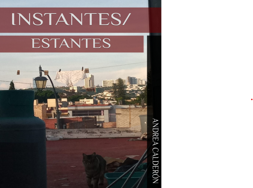 El pantano de la vulnerabilidad: depresión, deseo y poder en «Instantes/Estantes»